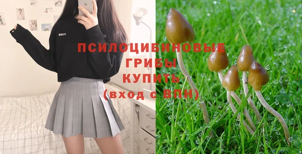 a pvp Абаза