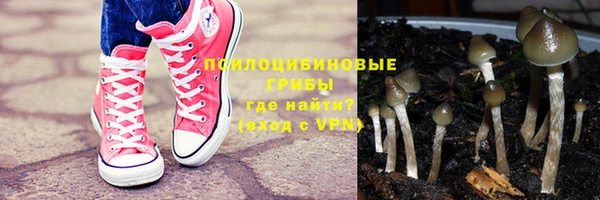 СК Абдулино