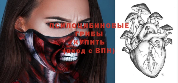 a pvp Абаза