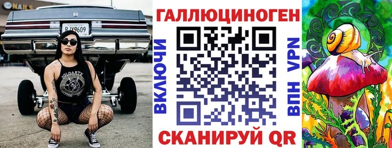 цена   Дно  Галлюциногенные грибы Cubensis 